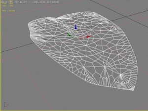 leaf 3D Model