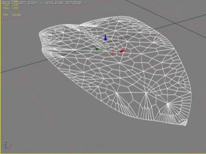 feuille Modèle 3D