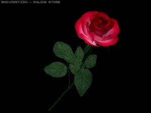 rose 3D Model