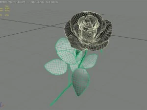 rose 3D Model