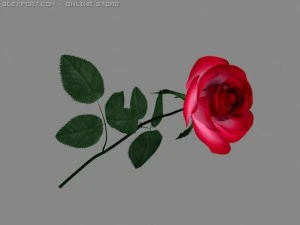 rose 3D Model