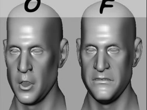 head with morphs 3D Model