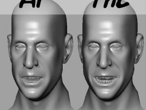 head with morphs 3D Model