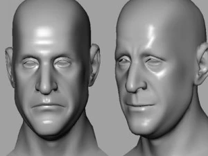 head with morphs 3D Model