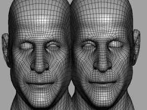 head with morphs 3D Model