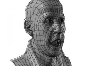 head with morphs 3D Model