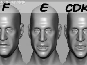 head with morphs 3D Model