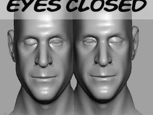 head with morphs 3D Model