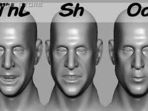 head with morphs 3D Model