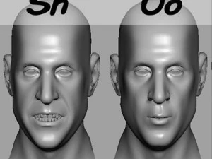 head with morphs 3D Model