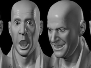 head with morphs 3D Model
