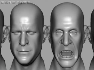 head with morphs 3D Model