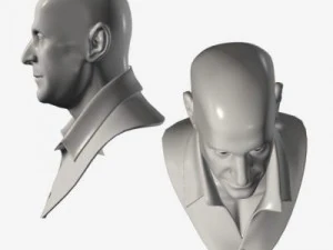 head with morphs 3D Model