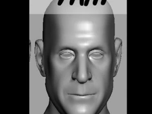 head with morphs 3D Model