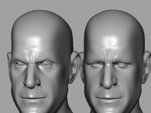 head with morphs 3D Model
