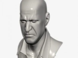 head with morphs 3D Model