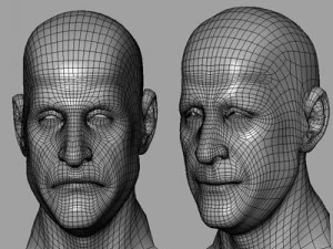 head with morphs 3D Model