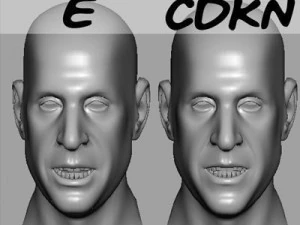 head with morphs 3D Model