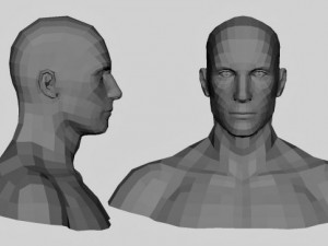 male head and shoulders maya obj collada fbx 3D Model