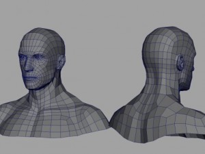 male head and shoulders maya obj collada fbx 3D Model