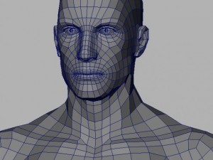 male head and shoulders maya obj collada fbx 3D Model
