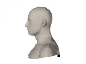male head and shoulders maya obj collada fbx 3D Model