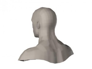 male head and shoulders maya obj collada fbx 3D Model