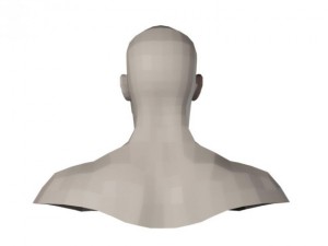 male head and shoulders maya obj collada fbx 3D Model