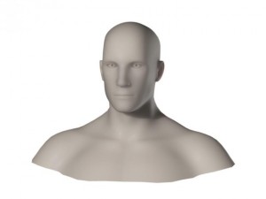 male head and shoulders maya obj collada fbx 3D Model