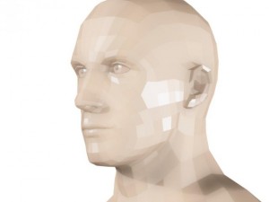 male head and shoulders maya obj collada fbx 3D Model