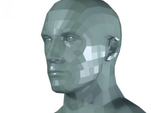 male head and shoulders maya obj collada fbx 3D Model