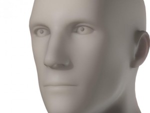 male head and shoulders maya obj collada fbx 3D Model