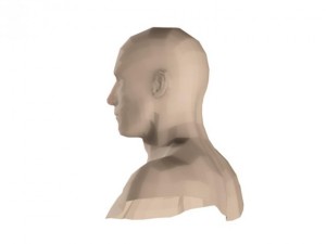 male head and shoulders maya obj collada fbx 3D Model