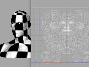 male head and shoulders maya obj collada fbx 3D Model