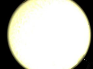 solar system planets  sun 3D Model
