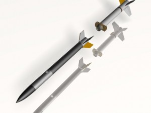 us terriermalemute rocket Model 3D