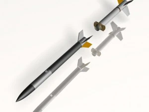 us terrier erkek dilsiz roket 3D Model