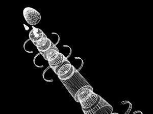 missile russo ss29 anni Modello 3D