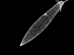black brant vb sounding rocket 3D 模型