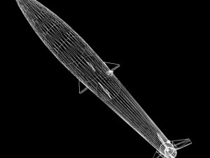 black brant vc sounding rocket 3D Model