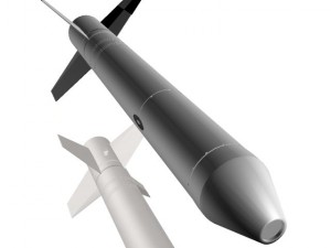 us navy nike asp rocket 3D 모델