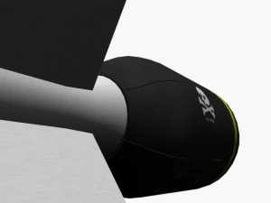 bomb jolly roger scheme 3D Model