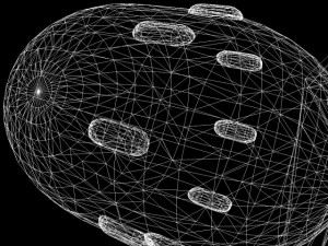 3d models bomb fatboy scheme 3D 모델