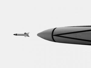 bumper wac rocket 3D Model
