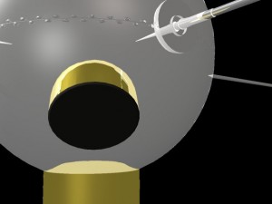 vanguard ii satellite Modelo 3D