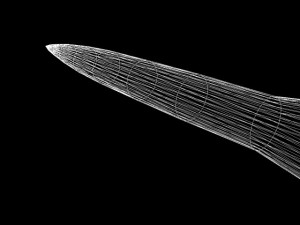 astrobee 200 rocket Modelo 3D
