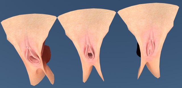 Влагалище и анус крупным планом (72 фото) - секс фото
