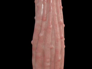 Mega Penis 3D Model