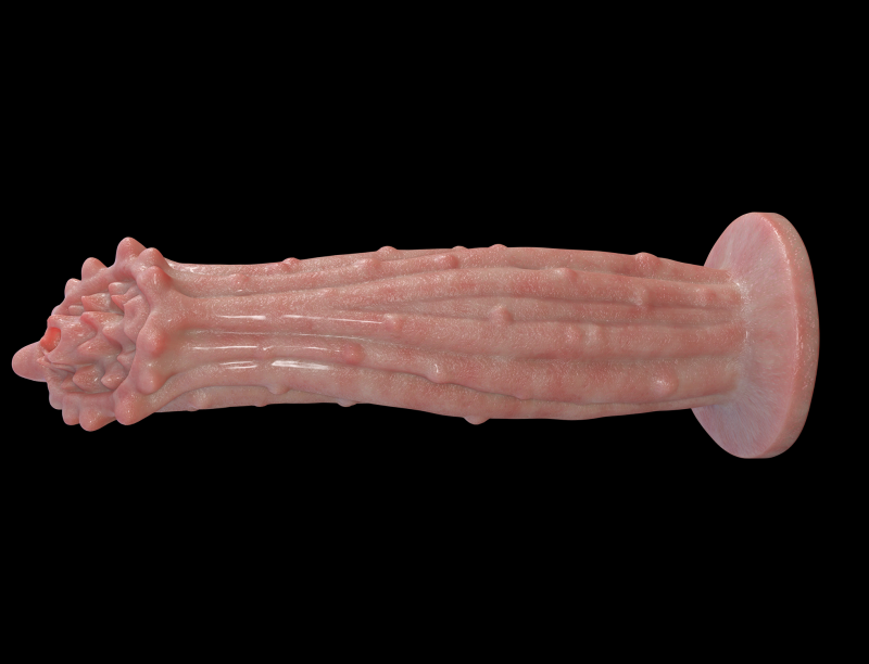 Mega Penis 3D 模型 .c4d .max .obj .3ds .fbx .stl .blend