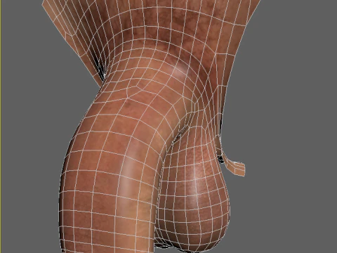 Men Penis 3D Model